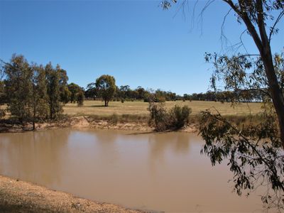 3272 Avoca-Bealiba Road, Bealiba