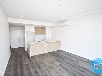 1002 / 11 Raphael St, Lidcombe