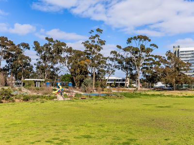 31 Lomandra Avenue, Glenside