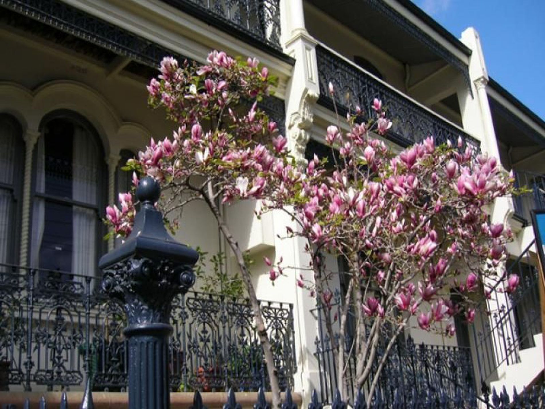 2 / 280 Bridge Road, Forest Lodge