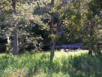 40 Arve Road, Geeveston