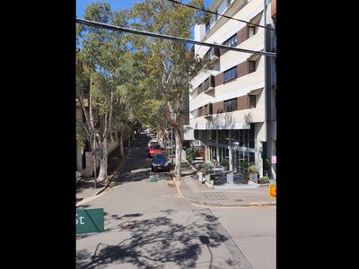 49 Waterloo Street, Surry Hills