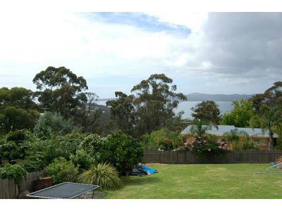 58 Mitchell Street, Eden