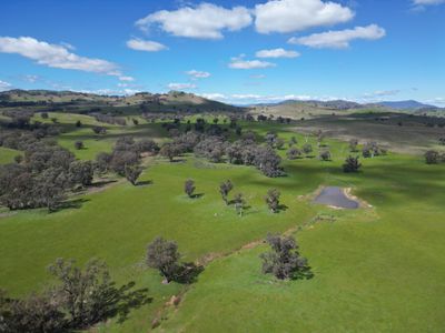 Lot 221 & 62-63 , Wymah Road, Bowna