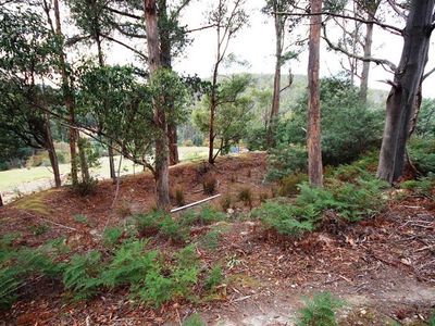 Lot 16 Waggs Gully Road, Ranelagh