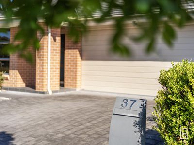 37 Grasstree Avenue, Woongarrah