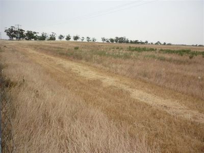 3341 Borung Highway, Donald