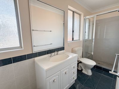 8 / 243 Piccadilly Street, West Lamington