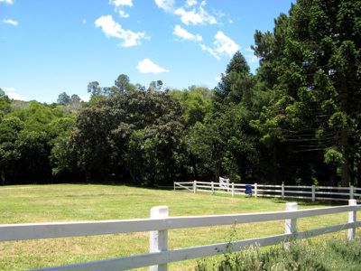 164 Balmoral Road, Montville