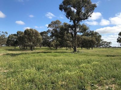 3935 Rangemore Road, Barham