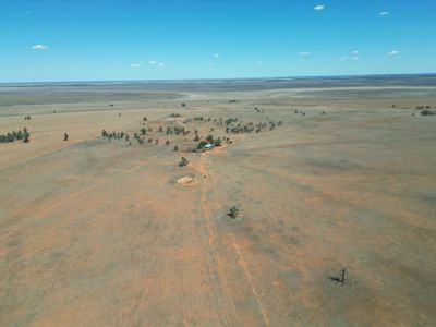 Lot  LOT 1 LP135805, 1  Cocketgedong Road, Urana