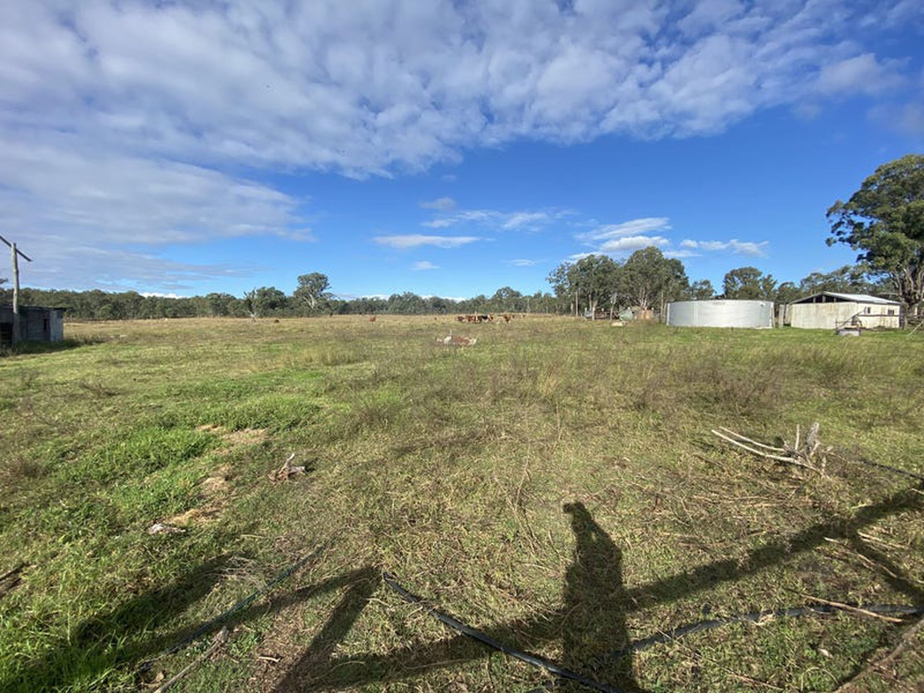 222 Toomeys Road, Kingaroy
