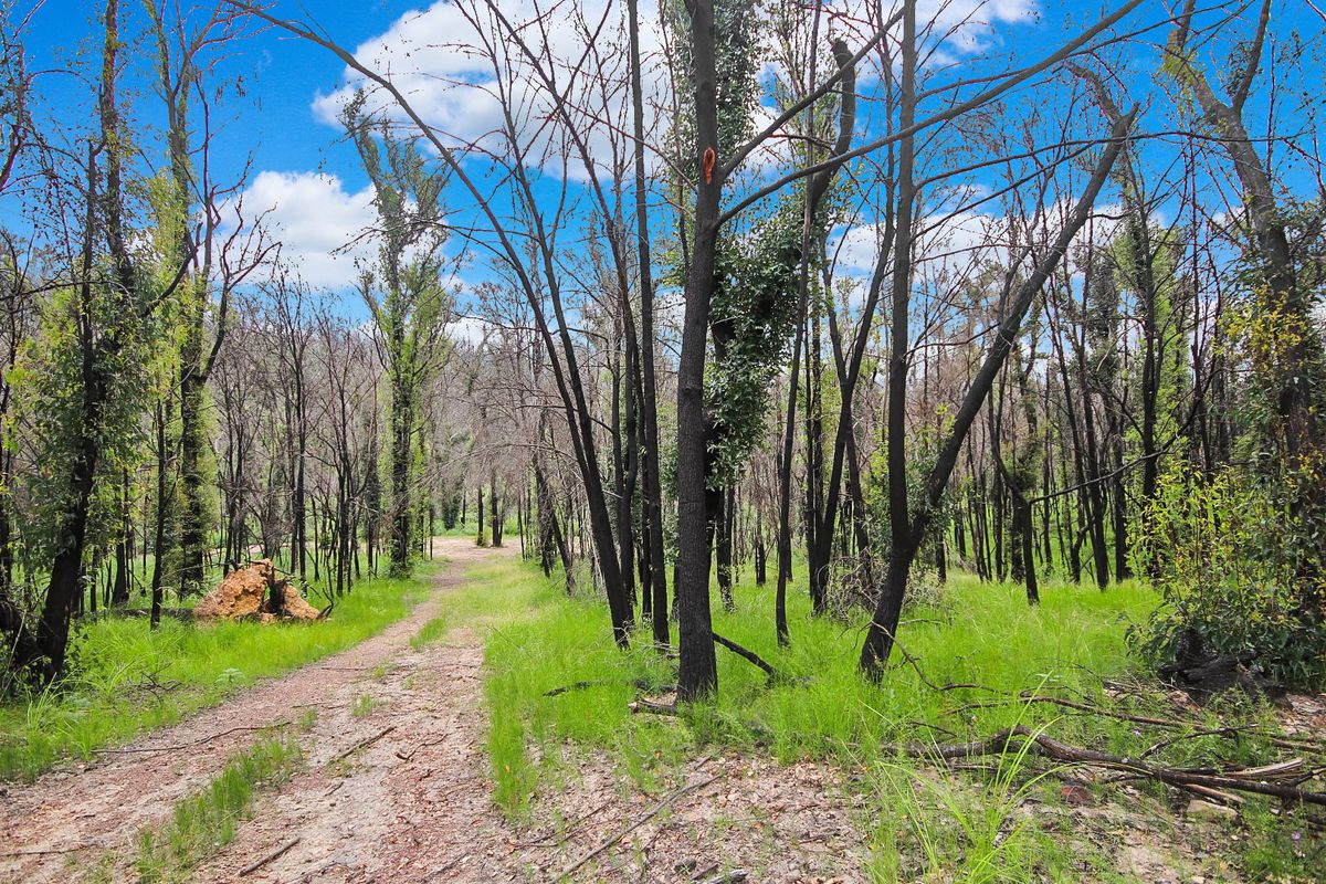 238 Reedy Creek Road, Eurobodalla