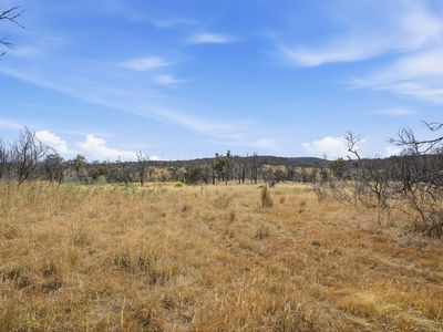 75 Prossers Forest Road, Ravenswood