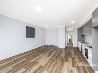 19 Ferguson Street, Maylands