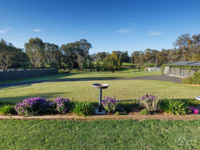 59 HILLANDALE COURT, Bonegilla
