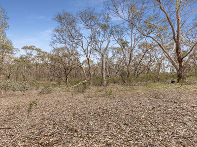 135 Chamberlain Road, Cornella
