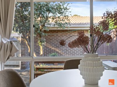 3 / 142 Totterdell Street, Belconnen