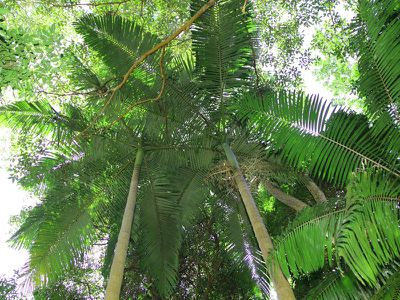 7 High Street, Nimbin