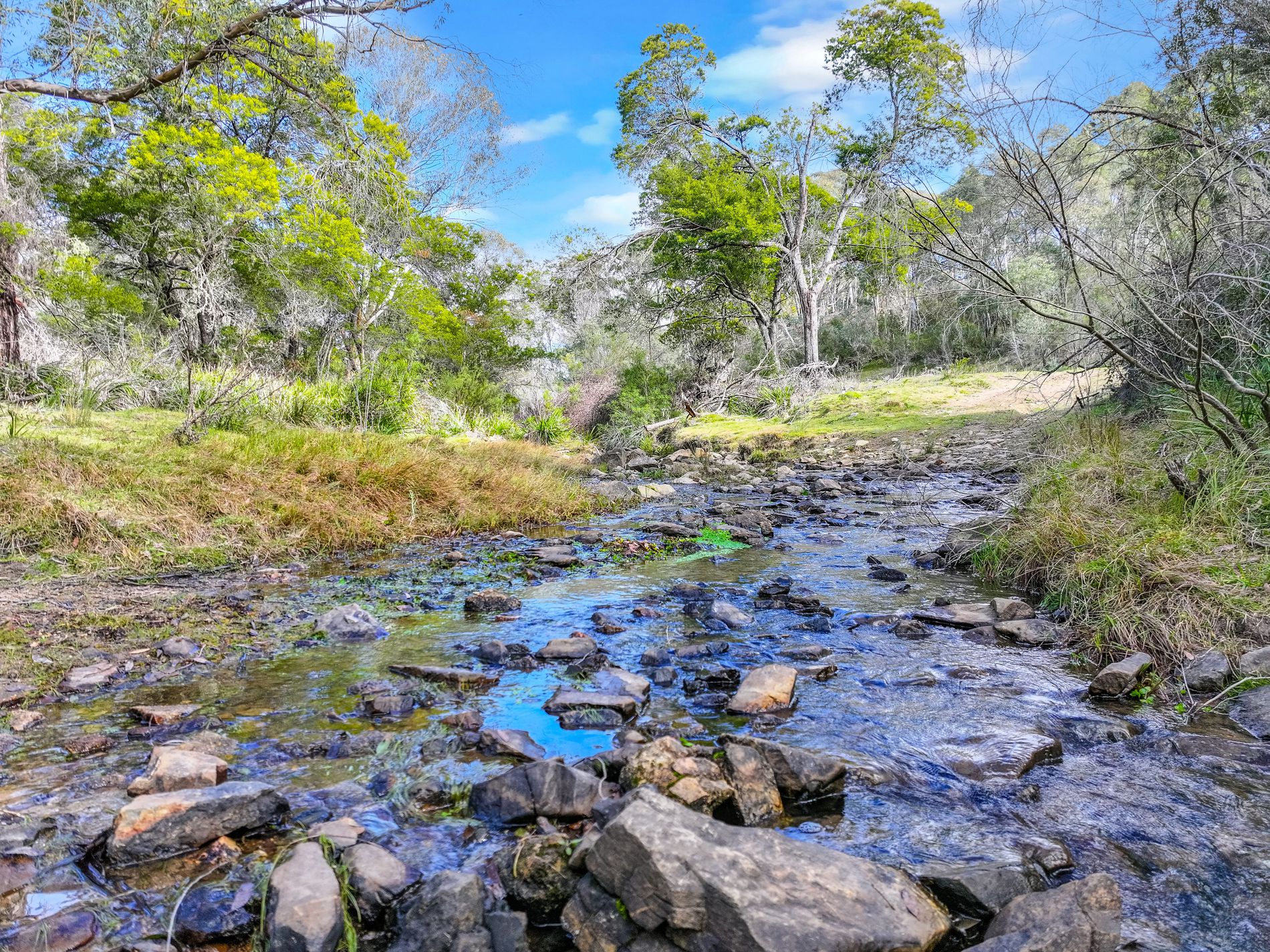 Lot 193 / 443 Back Creek Road, Mongarlowe
