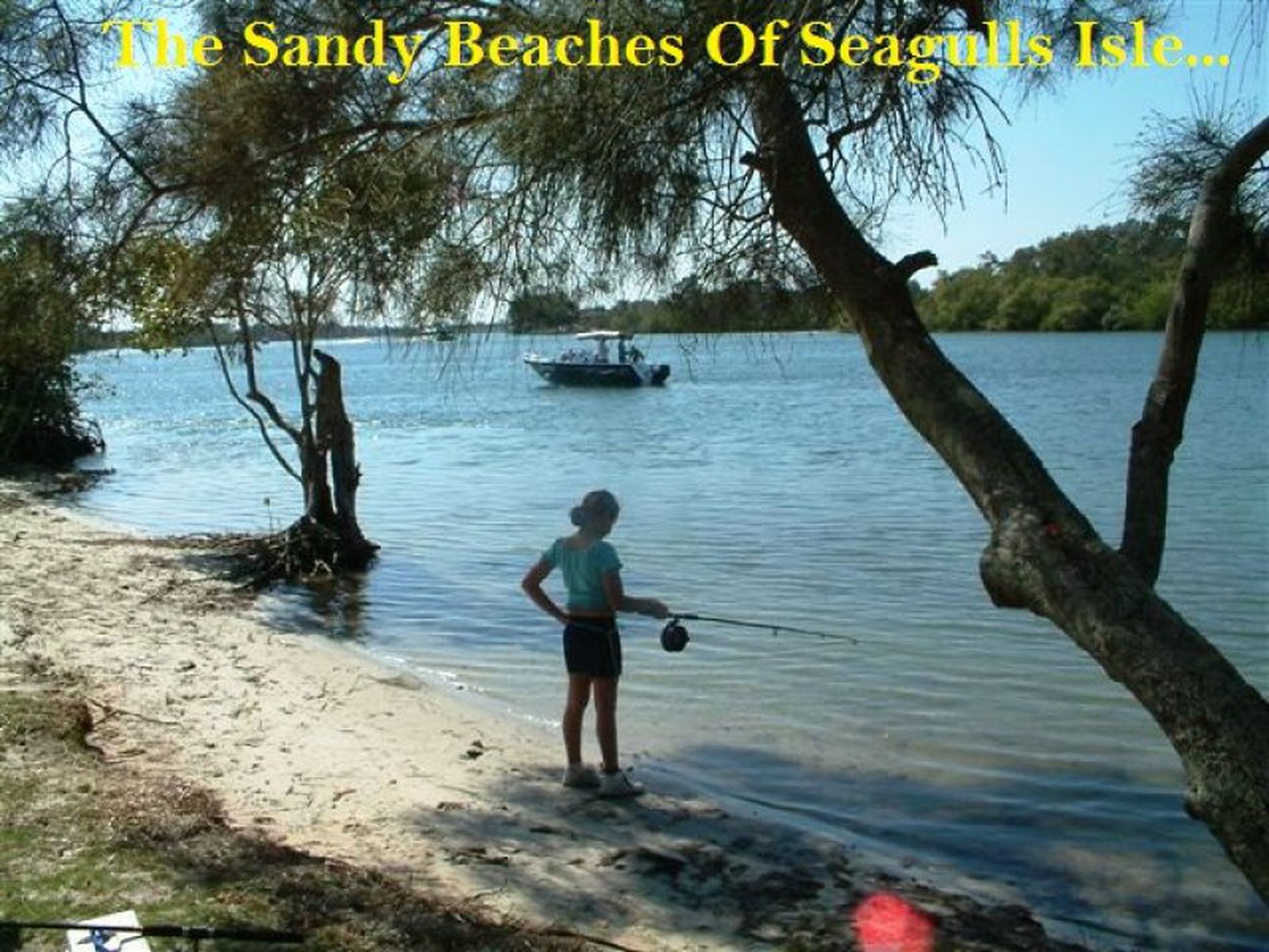 1 Perch Place, Tweed Heads West