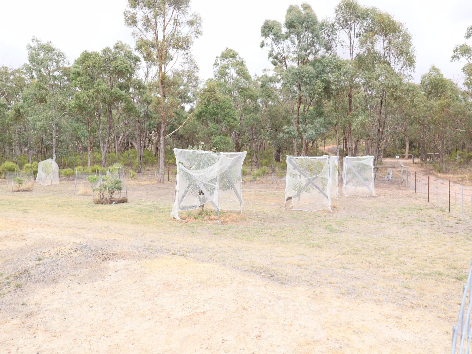 575 Hardings Lane, Tooborac