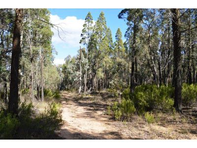 353 Albert Wright Road, Rocky Glen
