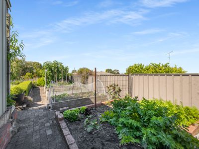 11 Ibis Street, Mount Gambier
