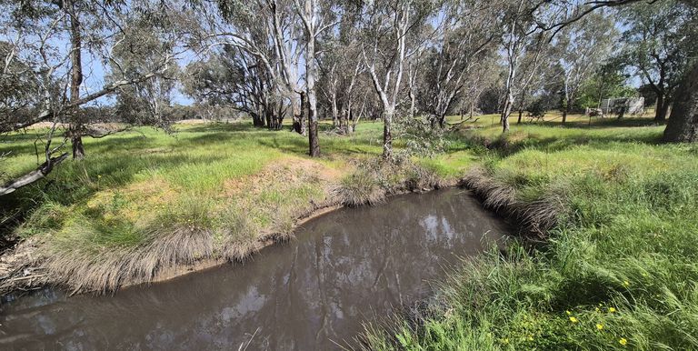 50 Ramage Road, Violet Town