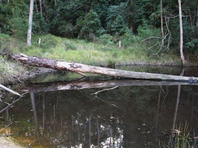 30 Glenayar Road, Kangaroo Valley