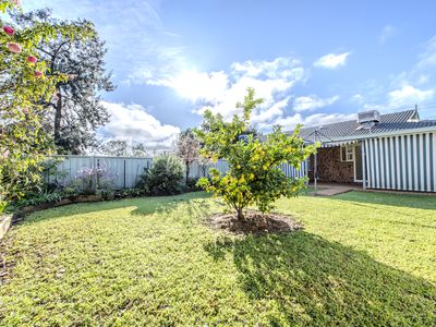 463A Wheelers Lane, Dubbo