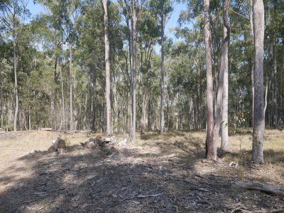 203 Greenview Road, Wondai