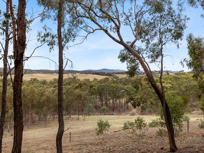 940 Dairy Flat Road, Heathcote South