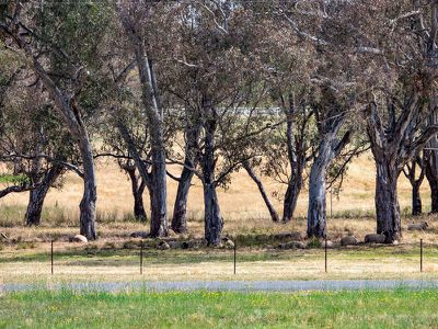 Lot 16 Loyola Run, Mansfield