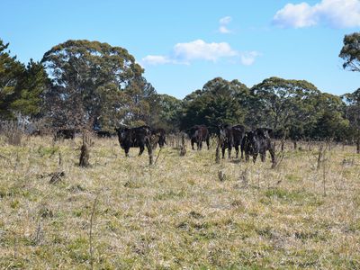 489 Inn Road, Ben Lomond