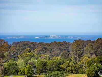 54 Tebbs Road, Narooma