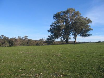 LOT 20 O'BRIEN COURT, Heathcote