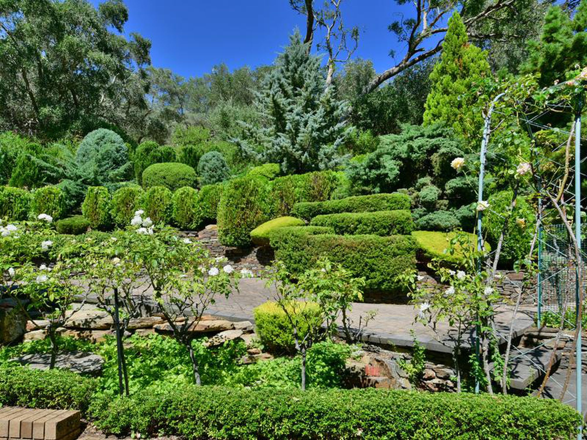 22 Wyfield Street, Wattle Park
