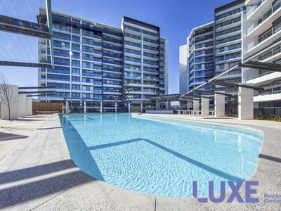 291 / 7 Irving Street, Phillip