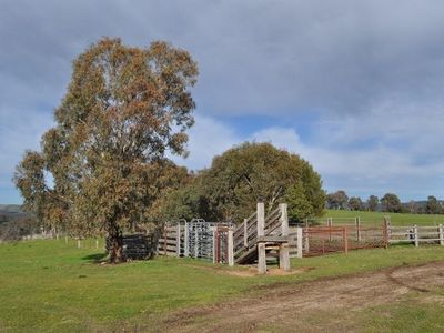 Lot 1 Martindale Road, Indigo Valley