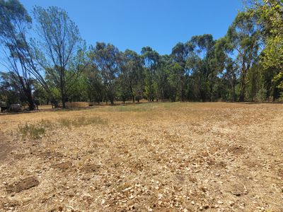 5 Rowe Street, Mansfield