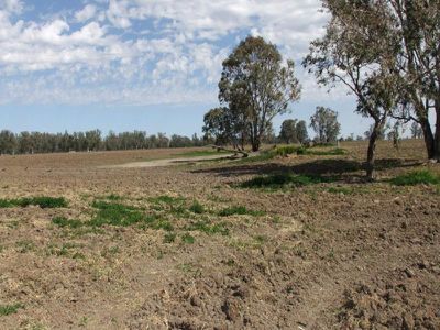 Lot 42 Orange Grove Road, Gunnedah