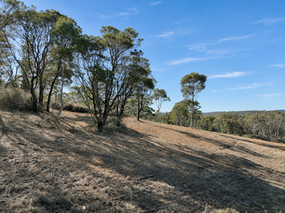Lot 1 / 14 Ningee Nimbell Creek Road, Tomboye