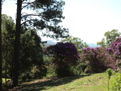 23 Kingsview Drive, Flaxton