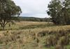 Lake Endeavour Road, Parkes