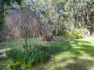 701 Sandy Creek Road, Riddells Creek