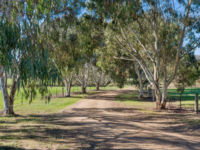 545 Mt Buller Road, Mansfield