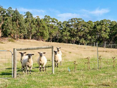 54 Turners Road, Cradoc