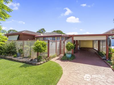 29 Wilkes Avenue, Moorebank