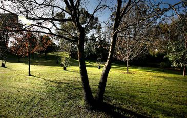 47 Woods Street, Beaconsfield